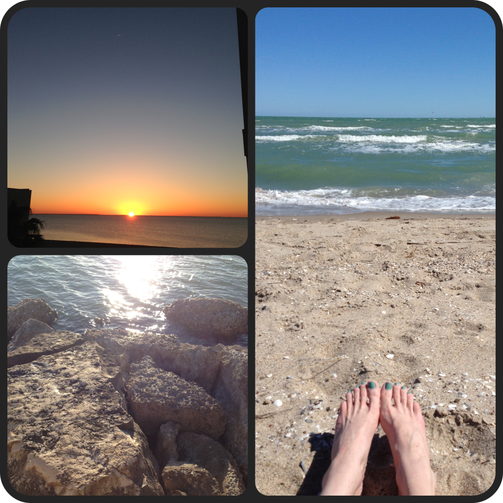 Top left: sunrise from my balcony. Bottom left: from the rocky pier. Right: catching some sun.
